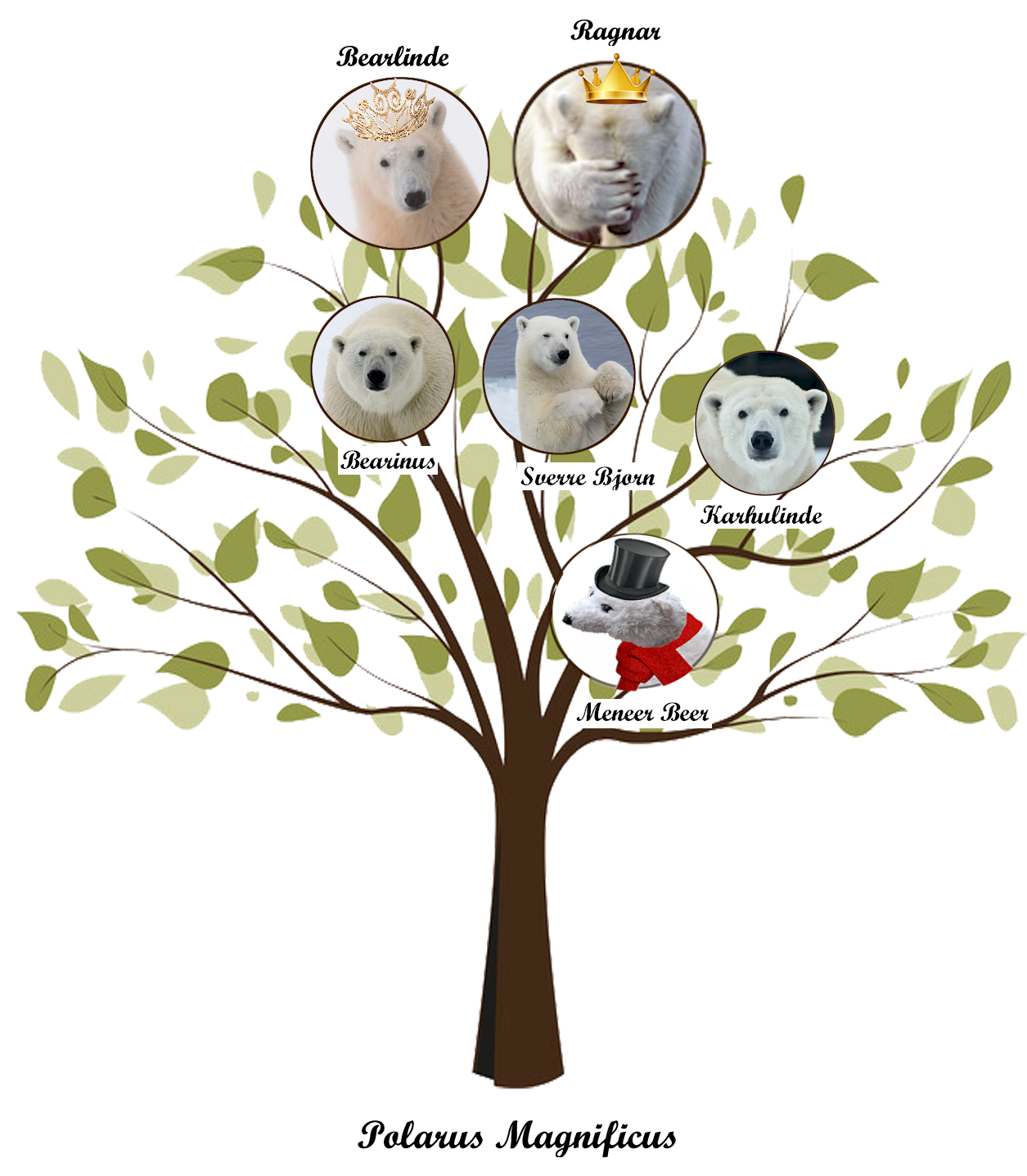 family-tree of Mister Bear from Santas Wood Shop